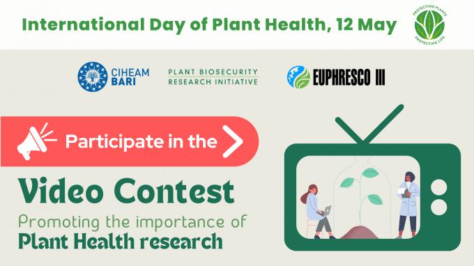<p>A TV contest <br>for plant health<br></p>